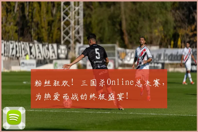 粉丝狂欢！三国杀Online总决赛，为热爱而战的终极盛宴！