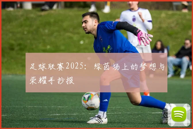 足球联赛2025：绿茵场上的梦想与荣耀手抄报