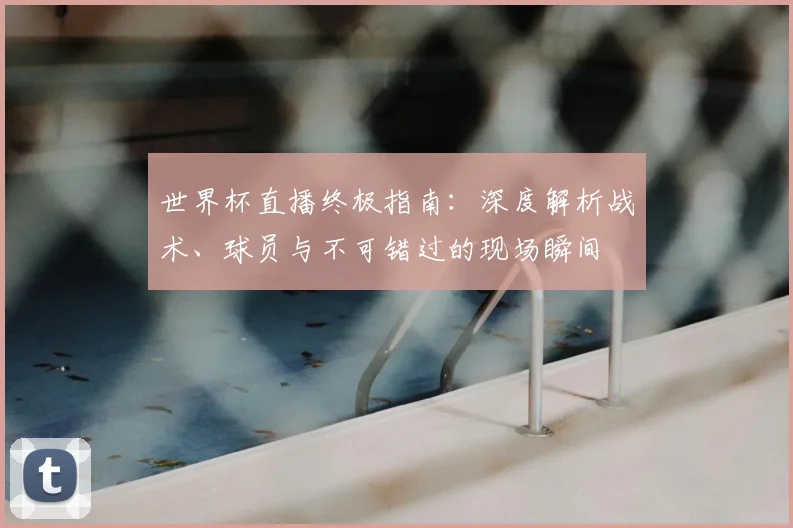 世界杯直播终极指南：深度解析战术、球员与不可错过的现场瞬间